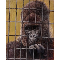 Sad Gorilla by Andrew Shaul